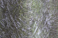 Thursford Green fibreglass roof work